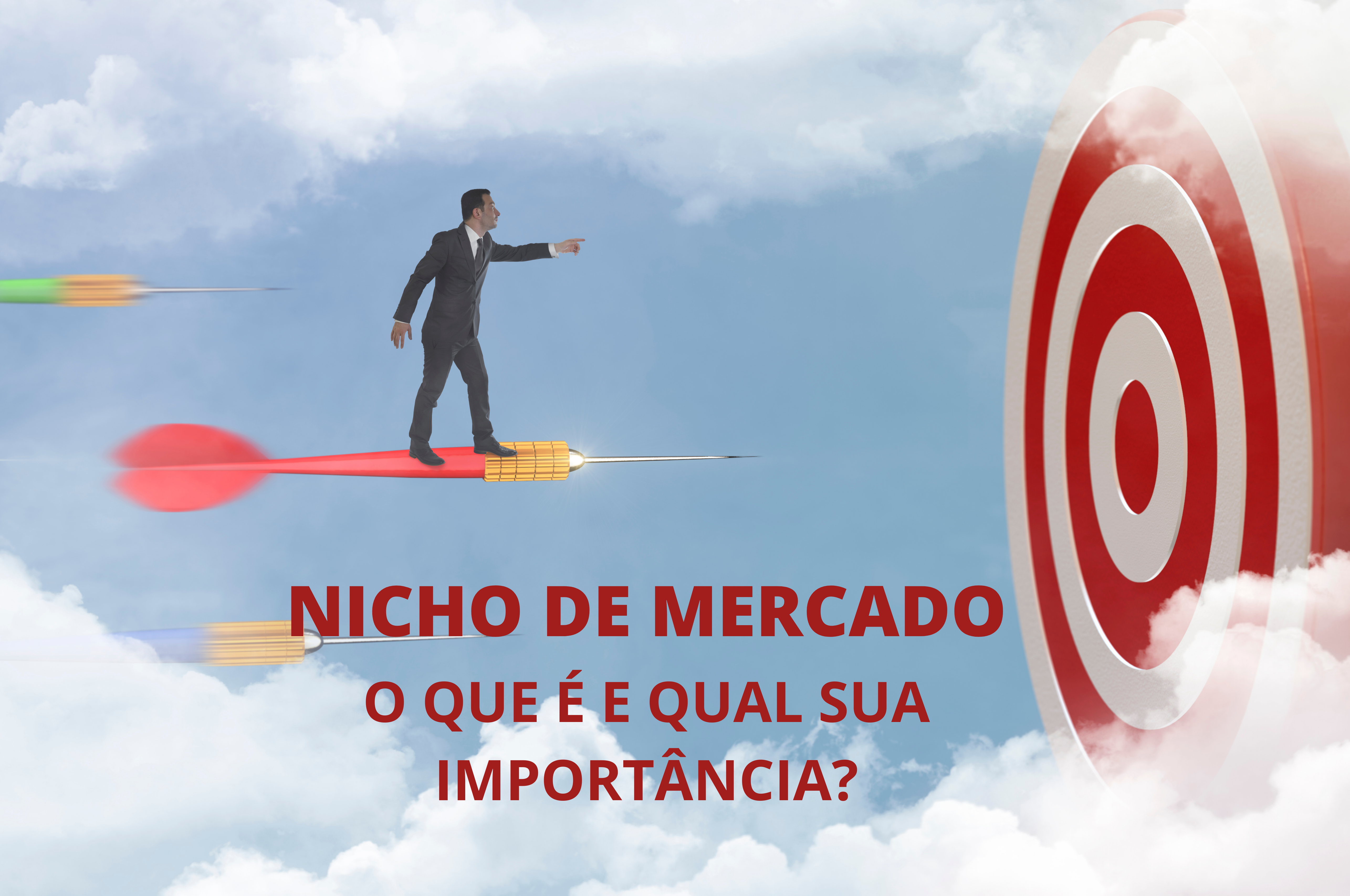 Nicho de Mercado – O que é e qual sua importância?